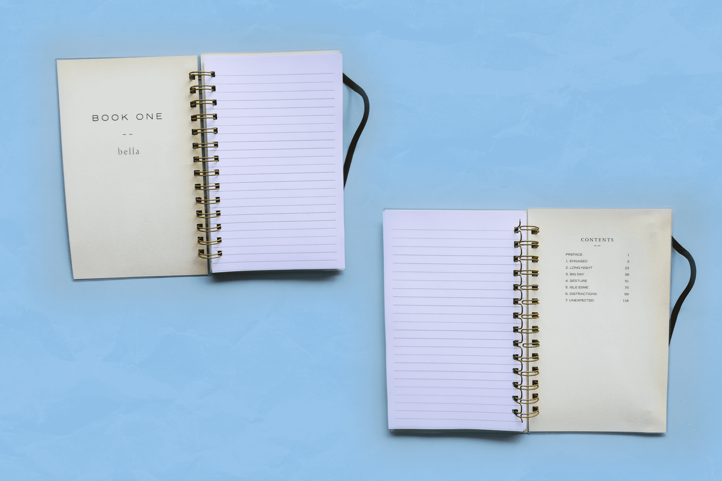 Breaking Dawn Upcycled Book Notebook